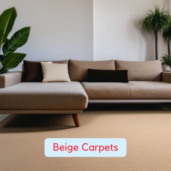Here Are the 5 Best Carpet Colors for Your Home in 2024