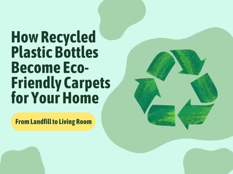 Eco-Friendly Carpets