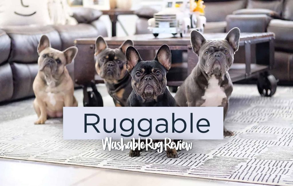 Ruggable review: This waterproof, washable rug is worth its price