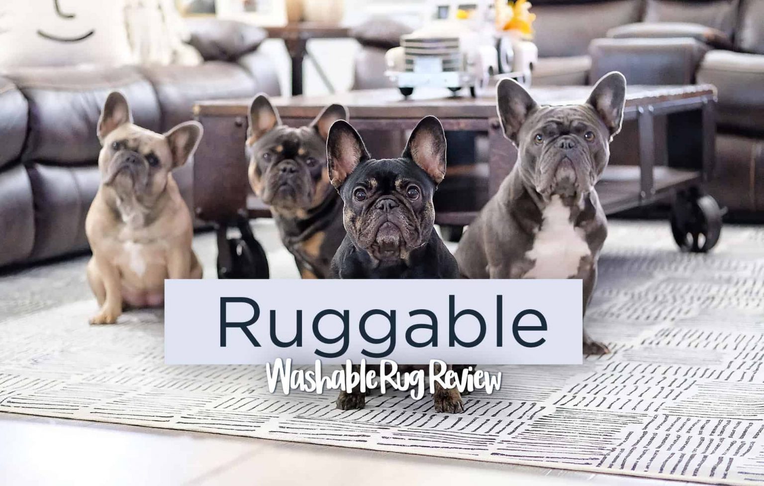 Ruggable Review The Washable Rug Most People Should Buy in 2024
