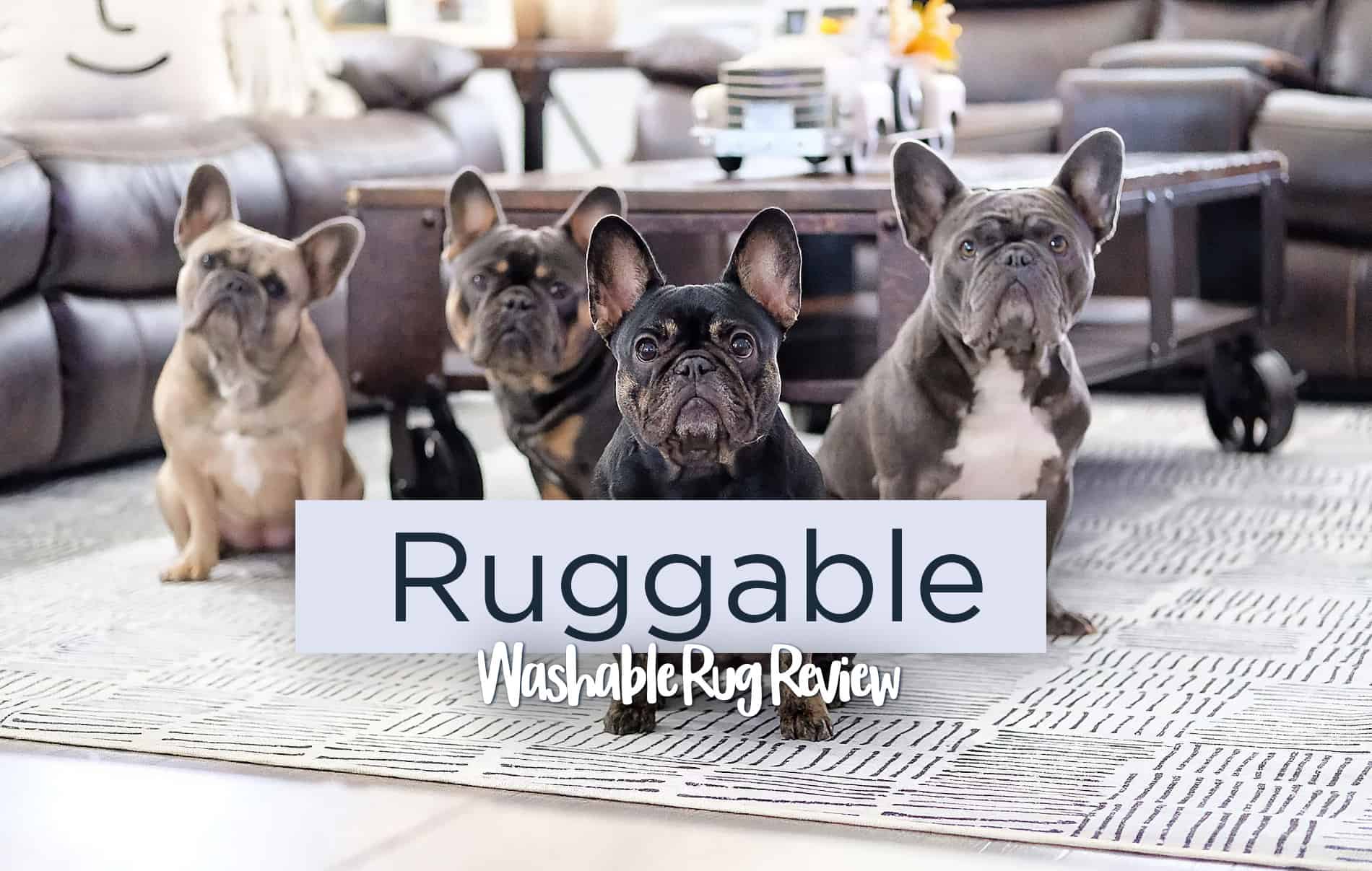 Ruggable Review The Washable Rug Most People Should Buy in 2024