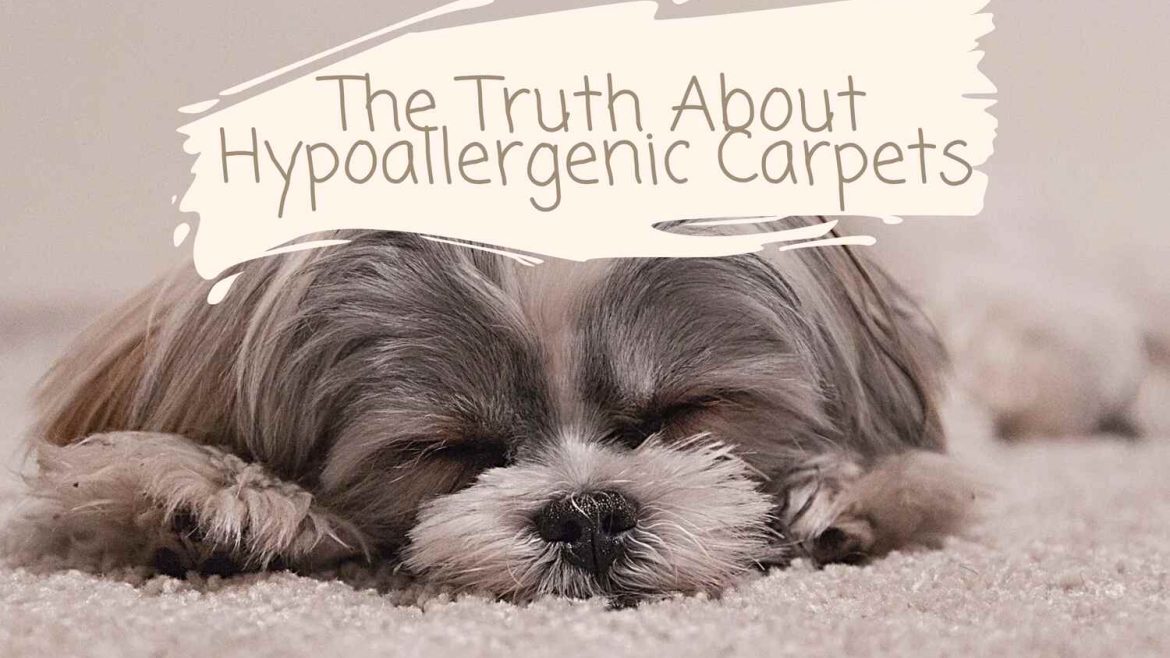 Hypoallergenic Carpets