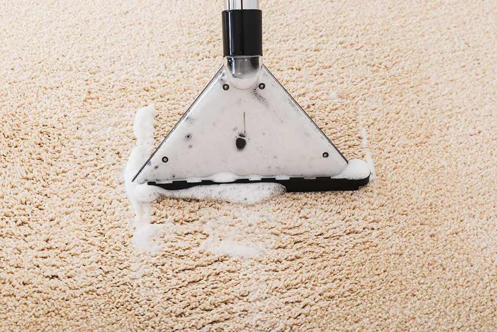 The Best Homemade Carpet Cleaner Solution (2024 Recipe) CarpetGurus
