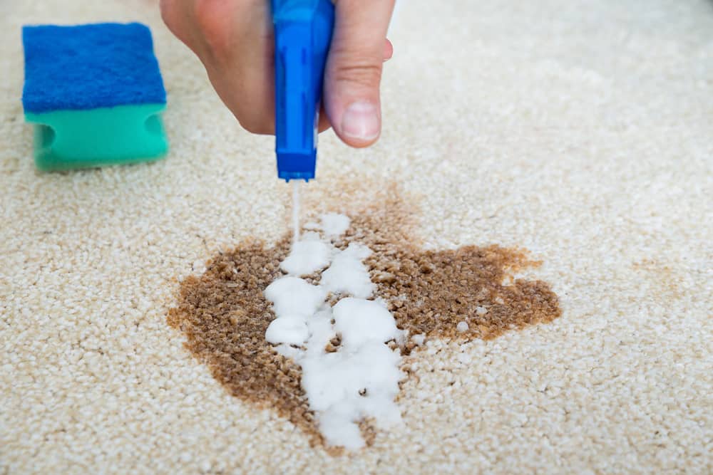 Spray To Keep Dogs From Peeing On Carpet