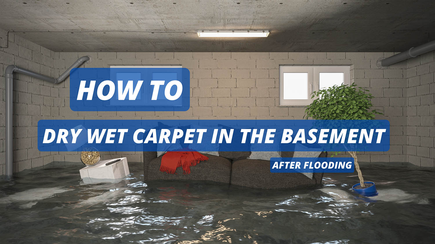 How to Dry Wet Carpet in the Basement After Flooding CarpetGurus