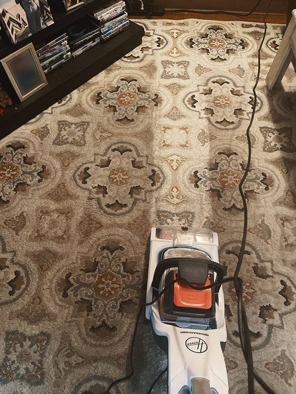 powerSpin pet brush roll performance